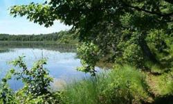 There is over 2,700 feet of frontage on two lakes and with that comes incredible privacy, trails and tons of wildlife. Well, holding tank and power at site. Building/s must adhere to setback area of East cement slab. Boat, fish, camp or build! Adjoins