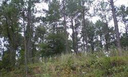 fabulous wooded 9.10 acre lot on White Oak Pointe. Lake view from almost anywhere on the property! Elevated parcel across from Lake Wateree, lake front, lots of road frontage, soil and septic information available.Listing originally posted at http