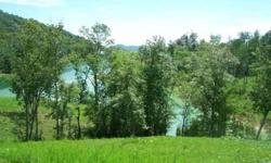 REDUCED $40000 FOR QUICK SALE 1.19 ACRE 315' +or- Deep Waterfront dockable lot on 30,000 Waterfront Lot Douglas Lake in Tennessee Smoky Mountains Dandridge + Acre Douglas lake in Smoky mountains. Stonebridge gated community with clubhouse boat slips and
