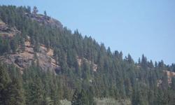 GREAT RECREATIONAL PROPERTY!!!! Mountainous 110 acres at the end of the road. Mixture of timber, meadow, rocky bluffs , Mule deer, Whitetail, Turkey, Elk, Moose, Bear and Grouse. This property backs up to National Forest on the northwest, north and east