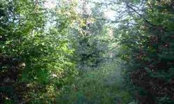 Are you ready for an Adventure? Come and check out this prime 63 acres of hunting heaven! The seller has spent countless hours preparing this wildlife Mecca. Established trails, multiple stands and food plots are just the beginning. Terrain ranges from