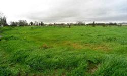 This great lot is located on a court just outside of Elk Grove in Wilton. Perfect for building your dream home on with over 5 almost 6 acres of land. Great time to buy California land at a great price!
Listing originally posted at http