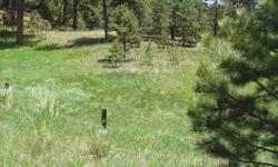 Great Lot with central location; shopping within walking distance. Come build your perfect Colorado Mountain Home!Listing originally posted at http
