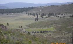 A beautiful flat 1.59 acre "View Lot"; overlooks National Forest"OREGON HUNTING/CAMPING PROPERTY" INVESTMENT WHILE HAVING FUN! "CASH OR TRADE OF EQUAL VALUE"Backup against the "Winema National Forest". This property is in Klamath County, in Chiloquin,
