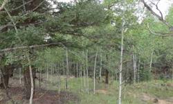Nice parcel, sloping away from the road, heavily treed location with a mix of aspens, Ponderosa's and Spruce. Covenanted neighborhood, and community water district hook-up. County access maintained roads, and views of the surrounding forests.Listing