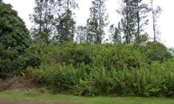 Own your own piece of Paradise in Affordable Ainaloa. A Buildable Parcel, rural with native ohia forest on a nicely graded road, about 25 minutes from Hilo.