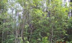 Nice building lot with tall mature trees. Perfect for your dream home.
Listing originally posted at http
