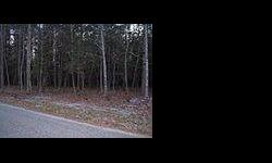 Mostly level lot on paved road. Only 3 minutes from Hwy. 460. Convenient commute to Lynchburg, Farmville, Appomattox. Pre-approved for Slate River Homes new construction. Several lots available. Call agent for floorplan details.
Listing originally posted
