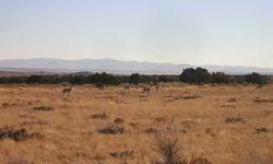 41.96 acre property in Apache county. Parcel 204-71-376, Red Sky Ranch, Phase 6, Lot 376. Only asking 12,900... that's only a little over $300/acre. There are county and HOA maintained roads to the property.