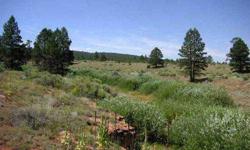 5 Acres in Apache County Arizona Near St Johns. This 5 acre ranch( lot 04) in Northeastern Arizona. This lot(lot 04) is located within the Cedar Hills Unit 5 Subdivision. The lot is located in the White Mountains North of St Johns AZ. and South of