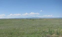 Phenomenal Front Range Mountain Views! Feels Like You Can Reach Out & Touch Pikes Peak!Almost 22 Acres of Glorious Meadow! Home Site Has Soils & Perk Test Completed! Phone & Electric to Lot! Water Rights Too! County Maintained Road! School Bus Route! Easy