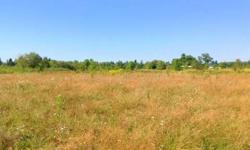 Great opportunity to own an almost 10 Acre lot in Brush Prairie. Close to shopping and restaurants. Desirable Hockinson schools. Site has granted easement to NE 172nd Ave. Bring your own builder and ideas to this wonderful site.Listing originally posted
