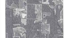 40 Magnificent Acres - @ 13 Acres of Productive Crop Land presently on a Cash Rent / The reaminder in Woods! Whether your dream is; - To have a fabulous Building Site (NCOE School Dist.) - Enjoy Seasonal Hunting in Notable White County Il. - Invest in