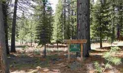 One of the largest lots in subdivision this beautiful .86 acre lot sits nestled in the trees. Relativity level build site, topo map and survey already done! Surrounded by 130 acres of permanent open space Pine Forest is the neighborhood to be in! Walk to