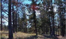This lot has easy access and a nice homesite. Good views to the south. CME has a private, stocked fishing lake.
Bedrooms: 0
Full Bathrooms: 0
Half Bathrooms: 0
Lot Size: 0.53 acres
Type: Land
County: Teller
Year Built: 0
Status: Active
Subdivision: --