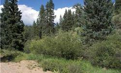 Nearly 5 Acres in Creek with a creek running through it. Lush vegetation, seclusion, and beautiful surroundings. Own a true piece of Colorado mountain property!
Bedrooms: 0
Full Bathrooms: 0
Half Bathrooms: 0
Lot Size: 4.52 acres
Type: Land
County: