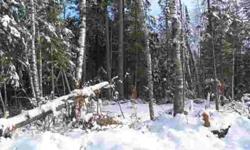 Looking for reasonably priced acreage that adjoins County Forest lands? These two 40's has a nice mix of upland and lowland, which makes it a perfect animal habitat. It also includes an old cabin which makes a perfect hunting shack. There is frontage on
