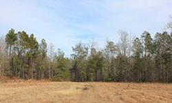 This rural 17.75 acre property is located off of Longridge Road via a deeded easement. The property features level topography, an open field and a mixture of hardwoods and pines. With the addition of some fencing the field would make a perfect site for