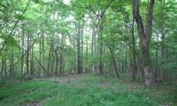 This beautiful wooded 13.43 acre knoll to be surveyed offers easy access to Greeneville or Johnson City yet in an exclusive subdivision with little traffic and the potential for exceptional mountain and valley views. Mature wood land with numerous home