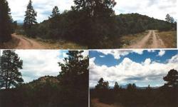 HERE IS A RARE PIECE OF PARADISE IN THE COLORADO MOUNTAINS This 76.3 acre parcel on River Pines Ranch is located about 15 miles south of Walsenburg , and about 2 miles west of Aguilar. Access to this property is great and only 15 minute drive to Trinidad