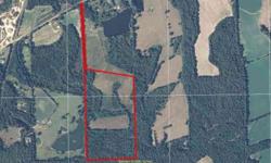 50 Ft. easment to property. Nice pasture & woods. Great hunting property. Planted hay. Property has a small creek.
Listing originally posted at http