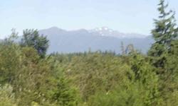Area of nice homes. Olympic Mountain View with view covenant. Power and telephone to lot. Area's septic's gravity. Great site for your new home. Adjoining lot also for sale.Listing originally posted at http