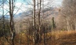 Property is accessible, off access rd to wishbone lake beautiful property, nicely treed, amazing location for your residential or recreational retreat!
Listing originally posted at http