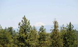 Come take your pick 5 80 acre lots, Pine Creek,Mt views,Lots of Trees.Abuts Yakima Indian on the West,640 ac state land East. Lots of big game!!Gravel & dirt roads. Has easement. Has level areas, gental slopes, draws & hilly areas. Property has CRP