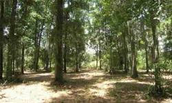 Beautiful tree covered lot with large oaks and cedars trees in an upscale, gated community in 'The Thicket' on Tolomato Island. Rear of lot faces West with a panoramic marsh view and dockable tidal water. This lot is one of the largest lot on the western