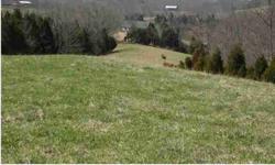 Incredible! PRICED TO SALE-Motivated Seller says MAKE OFFER! This 41.21 Acre farm has beautiful countryside views! Great for horses or cattle, it has the right balance of cleared land, Wooded Acreage and lake. There are Several Great sites to build your