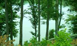 $139,000. This scenic year round waterfront lot on Goodfield Creek is a moderately sloped lot within walking distance to the community center, pool and private dock that can be purchased seperately. This lot accesses Chickamauga Lake on TN River. Will not