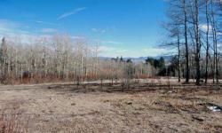A new offering in the pines village north! This lot borders open space to the north and west side of the lot as well as is located across the road from additional open space to protect your view shed and privacy.
Listing originally posted at http