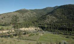 METHOW RIVER CANYON is the hottest set of new river properties in the Valley! These parcels are tucked away in a private canyon, an unheard of 1.5 to 2 miles off Highway 153 on a maintained road. LOT B offers an amazing view from a high plateau, showing