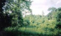 Hunting time - November is our deer season. This tract is loaded with turkey. Located off of a black topped road. Must cross a creek to get to the mountain part. Utilities available. Perfect for quaint mountain cabin. Call me anytime. This tract has been