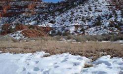If you are looking for that perfect lot to build the home of your dreams then look no further! This .37 acre parcel is nestled at the back of a short cul-du-sac backing to BLM land. It has all utilities at the lot edge and is ready to build. This