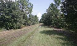 26.9 acres lot in Country World Village near Champions Gate Blvd. Green Swamp Area ZONED RURAL. 20 minutes to Disney World Parks and 35 minutes to Orlando International Airport & Downtown Orlando. Enjoy living in the country not to far from the city. Call