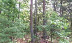 Wonderful building site in the Village of Leland. Heavily wooded with Village sewer available. Very close to many North Lake Leelanau and Lake Michigan beach access sites. Walk, skateboard or ride your bike to all village amenities!!!
Listing originally