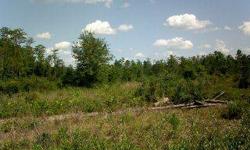 OVER 30 ACRES OF HIGH LAND GREAT LOCATION FOR HORSES. SMALL POND ON PROPERTY. VERY QUIET AND PRIVATE LOCATION PROPERTY DOES HAVE OLD WELL AND SEPTIC SYSTEM. CONDITION IS UNKNOWN. POWER TO THE PROPERTY. GREAT LOCATION TO HUNT ON YOUR OWN LAND.Listing