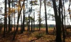 Beautiful Wooded 9.53 acre lot with mature trees located in desirable area of Worcester County. This parcel offers a 3+/- acre cleared homesite or pasture area. Very convenient to MD & DE beach's, restaurants and shopping. Located across from the St