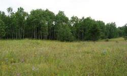 80 Ac partially wooded. GREAT for hunting or Build your own retreat. Property is priced below accessed value.Listing originally posted at http