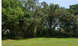 This beautifully wooded homesite is shaded by magnificent oak trees and faces the natural conservation area of West River Preserve fronting the Hillsborough River. Temple Terrace is a golfing community in close proximity to the University of S. Florida,