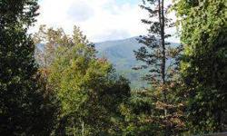 -Elevation of 4600 feet with breathtaking views east toward Balsam and south toward Nantahala. Balsam Mt. Preserve is a premier community with a club for access to amenities, which include Arnold Palmer signature golf course, heated pool in summer,