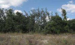 Nice high and dry lot with trees located close to shopping and its just minuets from US HWY 19 or the Sun Coast Parkway for the commuter.Owner Financing available with down payment.
Listing originally posted at http