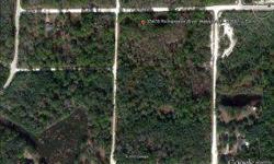 Desirable building site with a variety of trees and underbrush. Just over an acre this corner lot offers plenty of privacy yet close to main Highways 301,50,and I 75.to Ocala,Tampa,Orlando.Listing originally posted at http