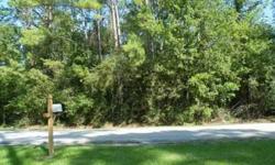 This property is located in the Forest Manor Subdivision near the Huffman/Crosby city line (5 min from FM 1960). Dimensions ~125x277 sq ft. or 1/2 ac. Property is 15 min from Houston. No mobile homes allowed. Modular homes are allowed. No home owner fees.