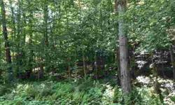 1.3 Acre Lot for sale in Silverstone Estates. What are you waiting for come and check it out. Build your new camp. Join the HOA for a $100 per year and gain access to Lake Gay. Only 2 miles from Hinkley Lake. well and septic needed. Electric at the