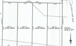 2 ac. Lot for sale, newer mobile homes OK. Some restriction apply. SFR only
Listing originally posted at http