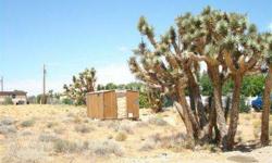 Flat lot with mountain views in the Jones Flat area. There are a few large Joshua trees on the property. There is also a small wooden storage shed on the property.Listing originally posted at http