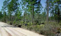 VACANT PROPERTY IN COUNTRY SETTING. MOBILE HOMES ARE WELCOME. LAND IS HIGH AND DRY. A GREAT LOCATION TO BUILD A NEW HOME.
Listing originally posted at http