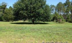 Beautiful 1/2 acre lot with large oak tree! Just outside city limits of Lake Butler with paved road frontage. Minutes to town, conveinent to Gainesville and Lake City. Located in Hidden Oaks Subdivision Phase II, Lot #14. Open builder!Listing originally
